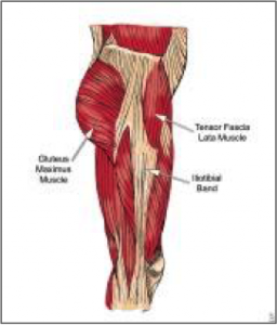 IT Band Syndrome - Ortho Illinois