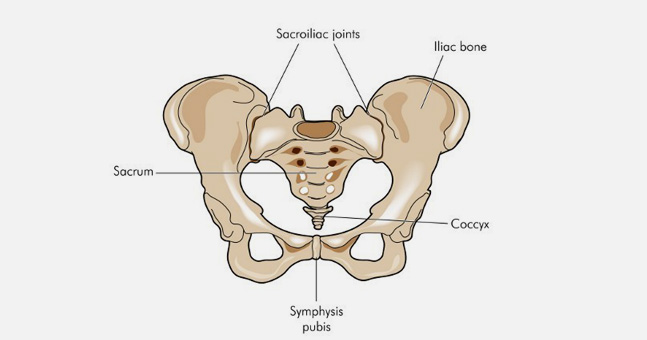 Posterior Pelvic Ring Fractures of the SI Joint and the Sacrum