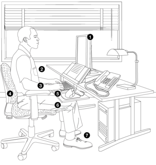 Illustration of anthropometric postures and measurement areas.... |  Download Scientific Diagram